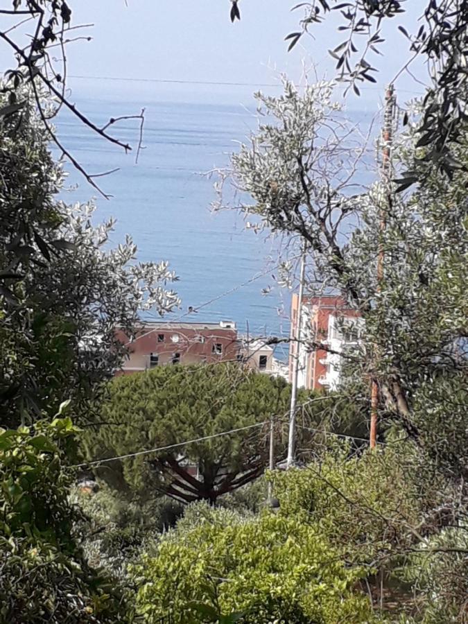 Tigullio Vacations Panoramica Apartments Lavagna Dış mekan fotoğraf
